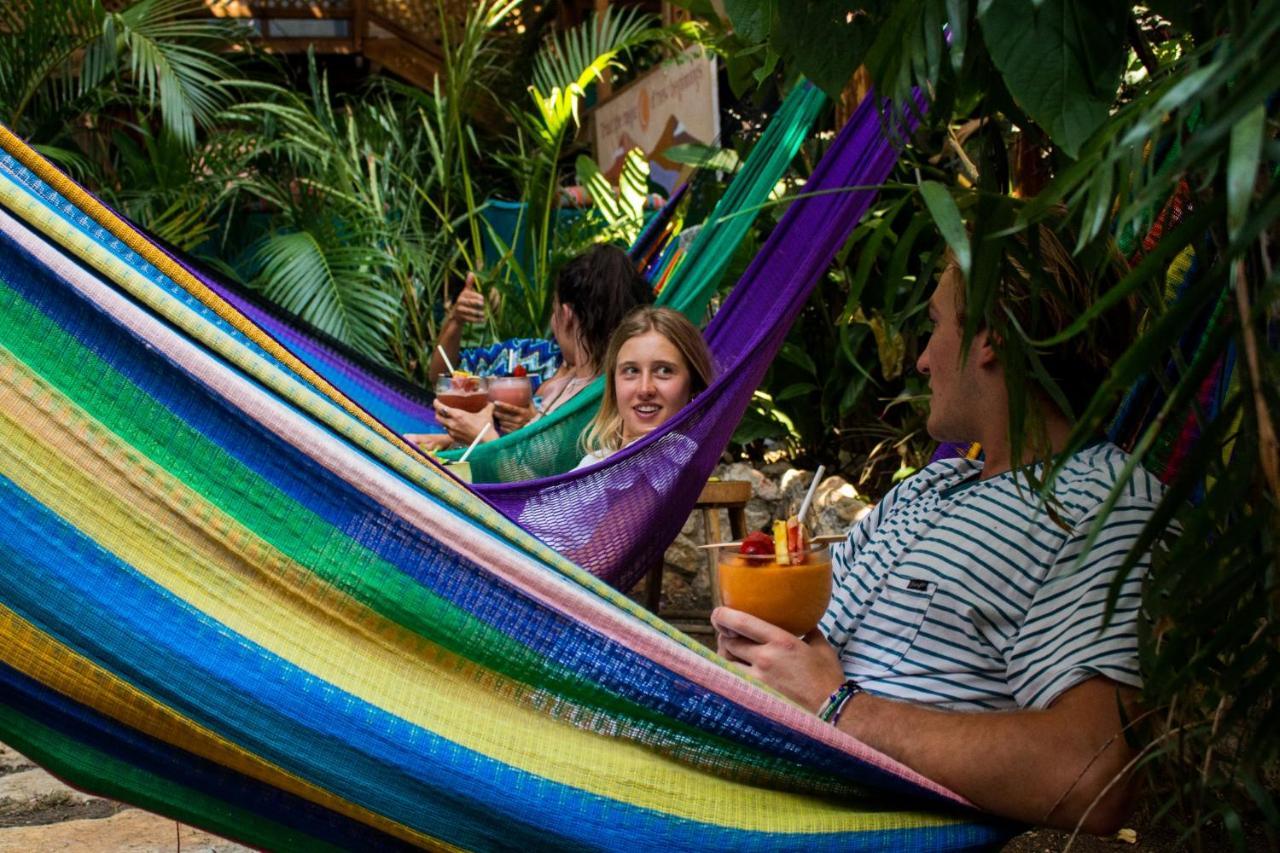Los Amigos Hostel Flores Εξωτερικό φωτογραφία